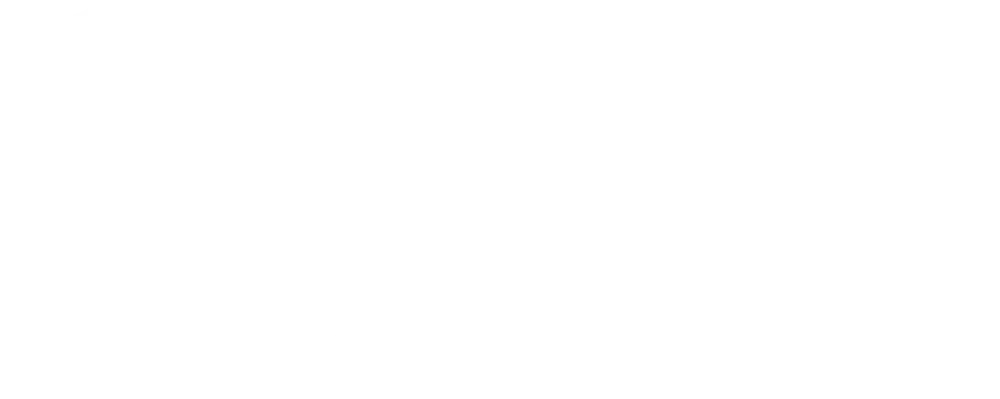 tsf logo